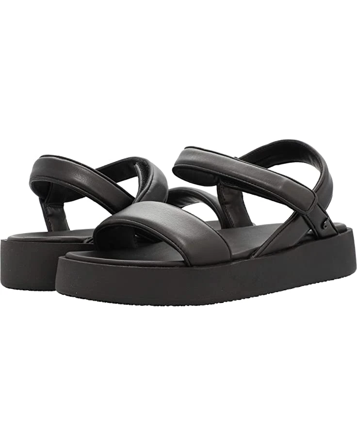 71DnBG5-u8L._AC_SR736920_.jpg Circus by Sam Edelman Halden | Heels -SAM EDELMAN Sales 71DnBG5 u8L. AC SR736920