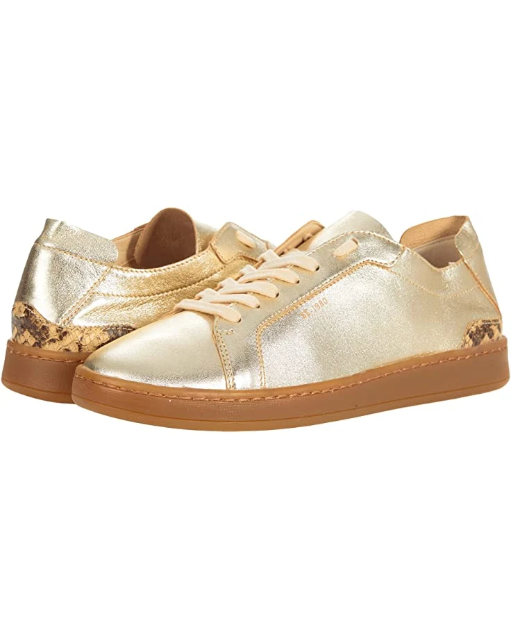 71YT4QQvL._AC_SR736920_.jpg Sam Edelman Jayme | Sneakers & Athletic Shoes -SAM EDELMAN Sales 71YT4QQvL. AC SR736920